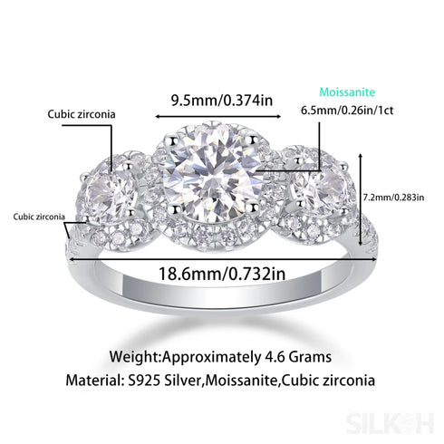 18k Round Moissanite 3 Stone Halo Engagement Ring Alaina